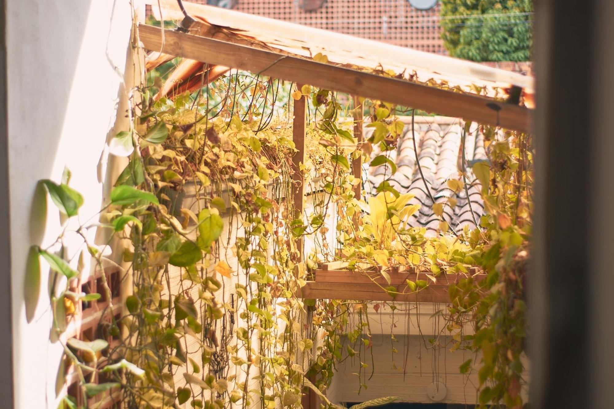 Hostal Casa Estacion Medellin Exterior photo